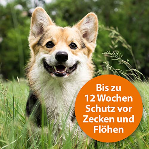 ARDAP Spot On – Zecken & Flohschutz für Hunde unter 10kg - 6