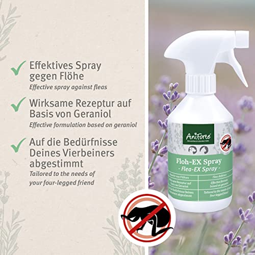 AniForte Floh-EX SPRAY 250 ml – Naturprodukt für Hunde - 2