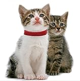 OHA-PET Katzen- & Hunde Ungezieferhalsband Flohhalsband gegen Flöhe, Zecken, Milben, Keimhemmend ca. 34 cm ROT – angenehmer Duft mit ätherischen Ölen - 3