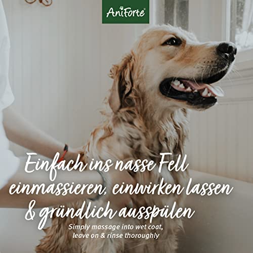 Aniforte Fellharmonie Shampoo mit Kokosöl-Extrakt & Aloe Vera 200ml Hundeshampoo Kokos-Shampoo – Naturprodukt für Hunde - 5
