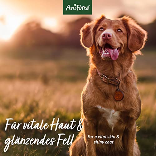 Aniforte Fellharmonie Shampoo mit Kokosöl-Extrakt & Aloe Vera 200ml Hundeshampoo Kokos-Shampoo – Naturprodukt für Hunde - 7