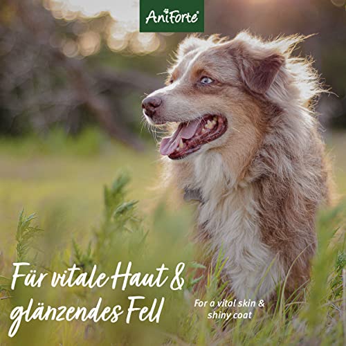 AniForte pflanzliches Neemöl Shampoo 400 ml Hundeshampoo parfümfrei – Naturprodukt für Hunde - 7