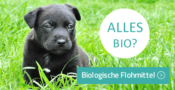 Biologische Hundemittel gegen Flöhen, Zecken und Milben kaufen auf Hundefloh.com