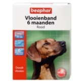 Beaphar Flohband Hund - 6 Monate - Rot