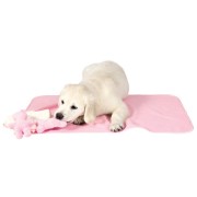 Trixie Welpen-Set - Decke, Spielzeug & Handtuch rosa